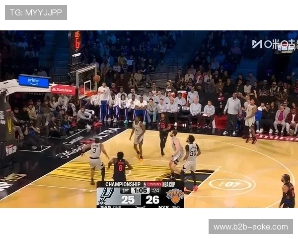 尼克斯NBA杯夺冠历程：半决赛胜魔术决赛逆转马刺