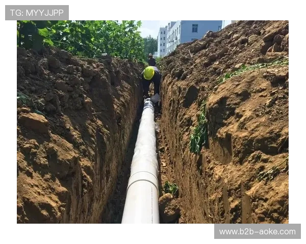 伯纳乌球场翻新工程全面完工，高科技设施提升观赛体验